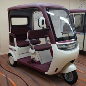 Hongxun (鸿迅) Covered Passenger Tuk-Tuk / Canopy Trike
