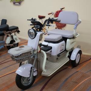 Hongxun (鸿迅) "Fashion" Compact Family Leisure Trike