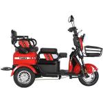 Hongxun (鸿迅) "Fashion" Compact Family Leisure Trike