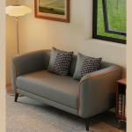 Bedroom and Living Room Cat Scratch Leather Sofa