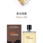 TERRE D'HORSE 100ML PERFUME